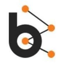 Bluebash Llc-CEO in Bluebash LLC