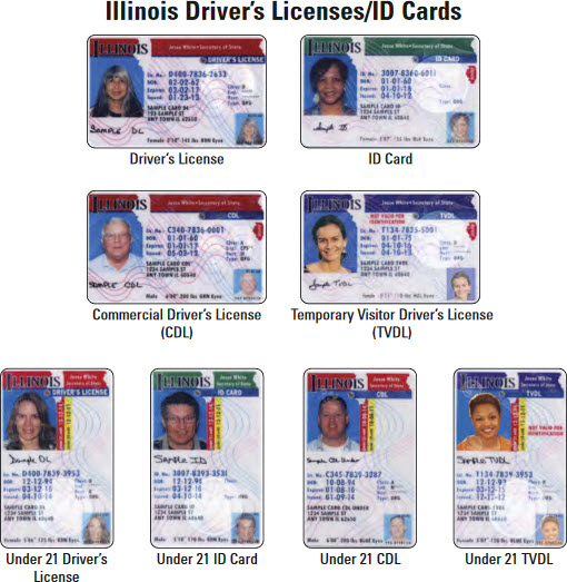 Driver’s Licenses 