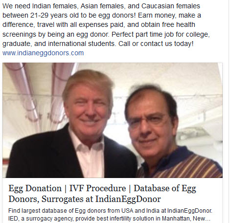 Indian Egg Donors