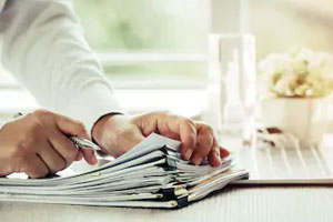 Administrative Lawyers