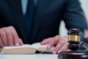 Constitutional Lawyers