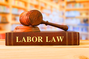 Labor Lawyers