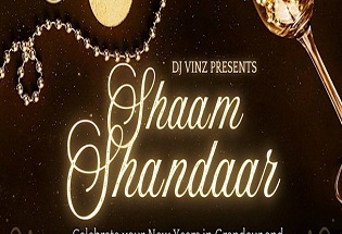 Shaam Shandaar Again, Minneapolis, MN