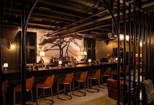 Bollywood Speakeasy, Chicago, IL