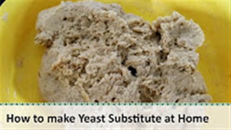 YEAST SUBSTITUTE in New York,NY