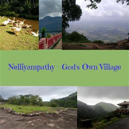 Nelliyampathi – Your Next Summer Vacation Spot
