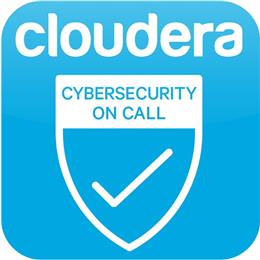 The emergence of Cloudera