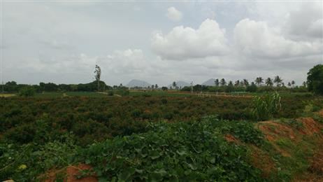 On the way to Nandi Hills - Explore Country Side