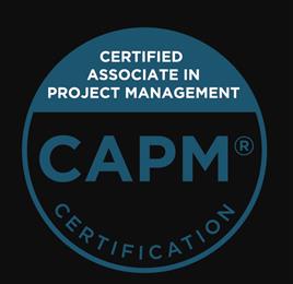 CAPM Blogs
