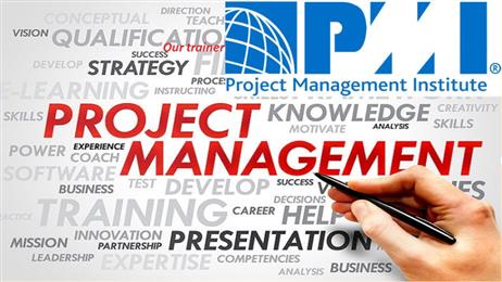 Types of Project Management Professional