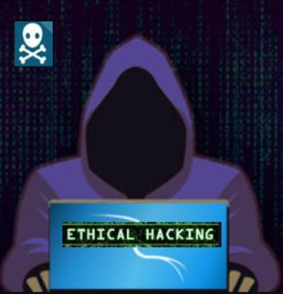Types of Ethical Hacking and Hackers