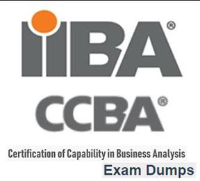 Practice CCBA Test Engine