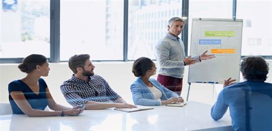 Information on Succession Planning and Career Development