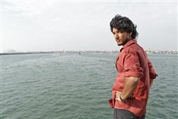 Kadal