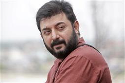 Kadal