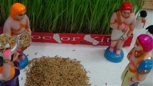 KAMALA GOLU 2013 in New York,NY