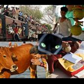 Be Indian Do Indian in Salem,MA