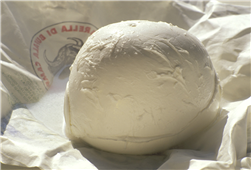 What kind of Cheese are You? Turophile Talks! in Atlanta,IL