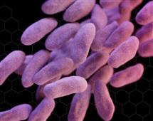 FDA Targets Antibiotic Use in Meat – Viral Bio-war craft in New York,NY