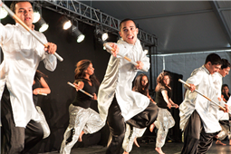 Desi New Year Events 2014 in USA in Denver,NC