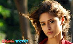 Ileana wants Rs. 2 Crore for doing Nagarjuna's film? in New York,NY
