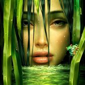 Why Is Happiness Becoming Scarce? in Bellevue,WA