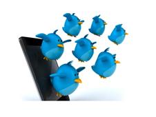 Top 7 Indians on 7-year-old Twitter in Chicago,IL