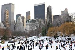 HOW ABOUT ICE SKATING? in New York,NY