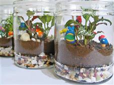 A Bottle Garden Set Up In 1960 & Watered Just Once In 53 Years in Bellevue,WA