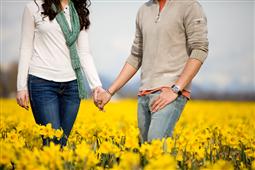 Yippee!!! It's Springtime -Tulips Are Blooming... in Bellevue,WA