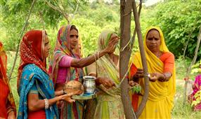 A Village In India Plants 111 Trees For Every Girl Child Born in Bellevue,WA