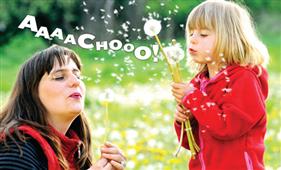 Sneeze-Stopping Ideas in Dallas,TX