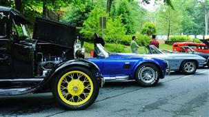 AMAZING PEACHTREE HILLS FESTIVAL OF ARTS AT ATLANTA in Atlanta,GA