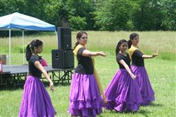 Desi Fest in Chicago in Chicago,IL