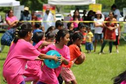 Desi Fest in Chicago