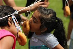 Desi Fest in Chicago