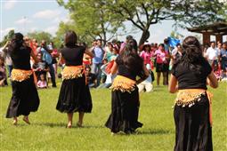 Desi Fest in Chicago