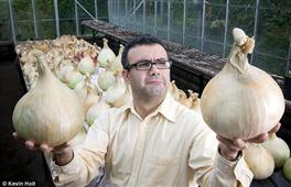 Do Onions Absorb Bacteria and Cure Illness? in Los Angeles,CA