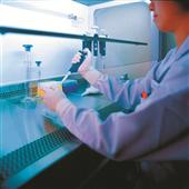 Japanese scientists fabricate liver from stem-cells in New York,NY