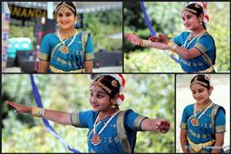 Celebrating Anand Mela 2013