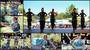 Celebrating Anand Mela 2013