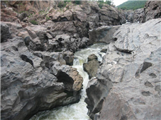 Fun Day Trip to Mekedatu from Bangalore in New York,NY