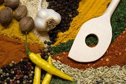 Cooking Tips for Indian food in New York,NY