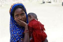 Stop the Ignorance in Chicago,IL