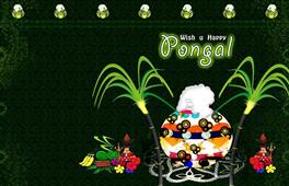Sangam 2014 – Share your Pongal/Sankranthi experiences! in New York,NY