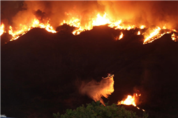 Wildfire in Los Angeles Stops at LA Suburbs – Glendora Burns in New York,NY