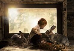 Need a pick me up? 8 Magical Photos of Child Animal Whisperers in San Francisco,CA