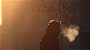 Chicago goes into Hibernation! in Chicago,IL