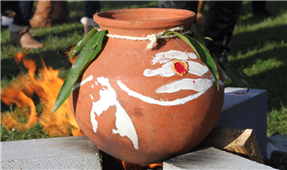 Local Happenings in USA for Indian Communities in Minneapolis,MN