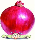 Cry Baby - Best uses of Onions in Salem,MA